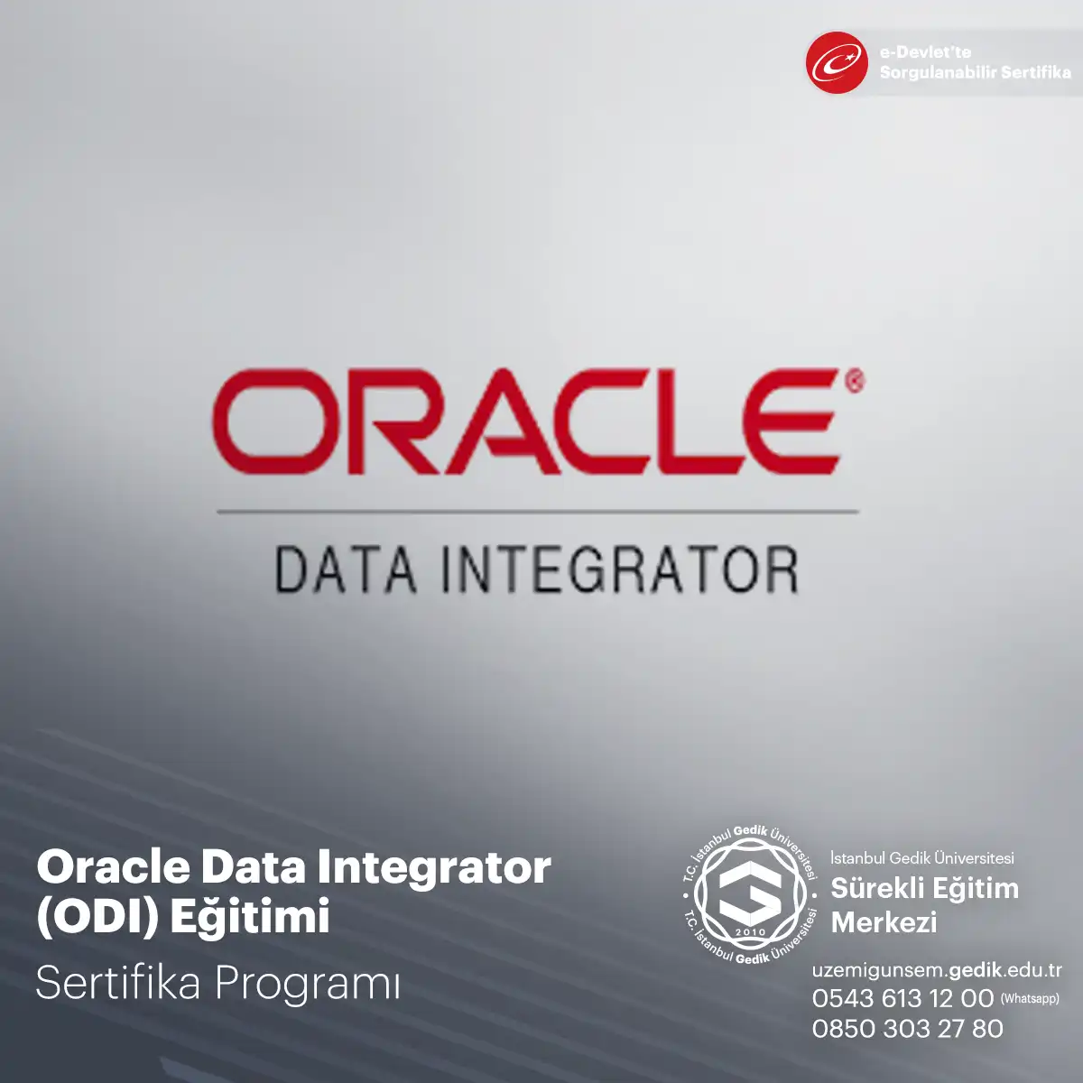 Oracle Data Integrator (ODI) Eğitimi Sertifika Programı